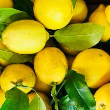 Limoni